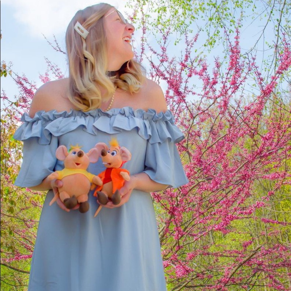 Disney inspired Cinderella dress